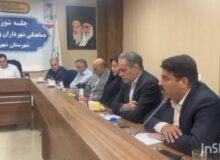 بیان مشکلات و معضلات شهر باغستان توسط مدیریت شهری باغستان در جلسه شورای هماهنگی شهرداران و بخشداران شهرستان شهریار
