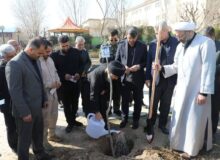 کاشت هزاران نهال به یاد رهبر شهید امت در شهر پردیس+ فیلم