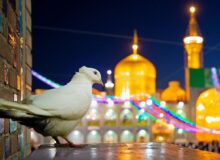 نسخه نجات بخش امام رضا(ع)چیست؟/امری که مرز بین بهشت و جهنم را مشخص کرد