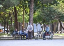 استقرار نظام بیمه‌ای متمرکز در سازمان تأمین اجتماعی